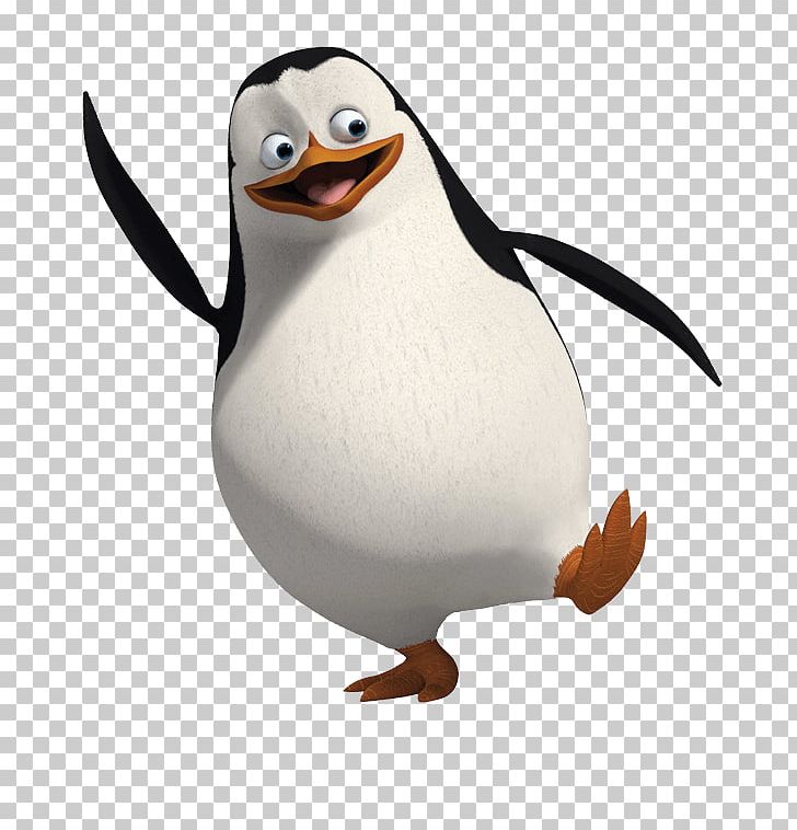 Skipper Penguin PNG, Clipart, Alex, Amor, Animalphotography, Animals, Animation Free PNG Download