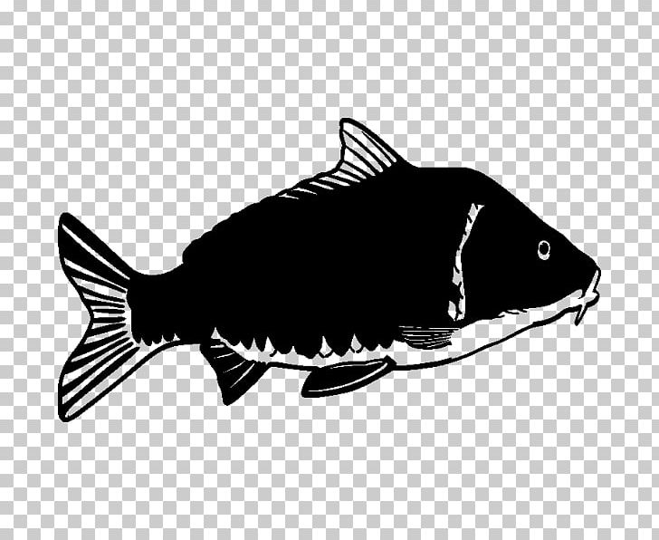 Fish Sticker Carp Adhesive PNG, Clipart, Adhesive, Animals, Black, Black And White, Black M Free PNG Download