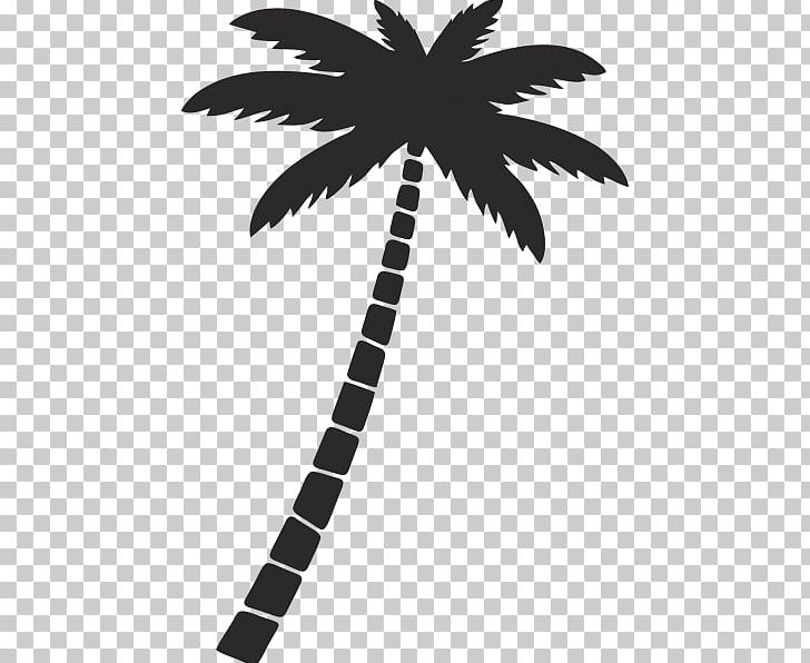 Arecaceae Silhouette PNG, Clipart, Animals, Arecaceae, Arecales, Art, Black And White Free PNG Download