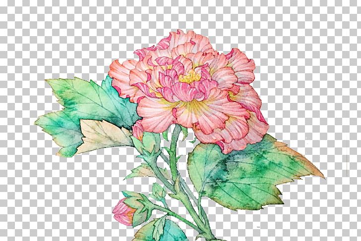 Hibiscus Mutabilis Floral Design Plant PNG, Clipart, Cut Flowers, Decoration, Designer, Download, Flo Free PNG Download