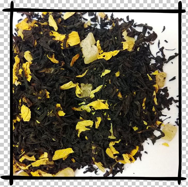 Nilgiri Tea Oolong Spiselige Alger Camellia Sinensis Vegetable PNG, Clipart, Assam Tea, Camellia Sinensis, Ceylon Tea, Da Hong Pao, Dianhong Free PNG Download