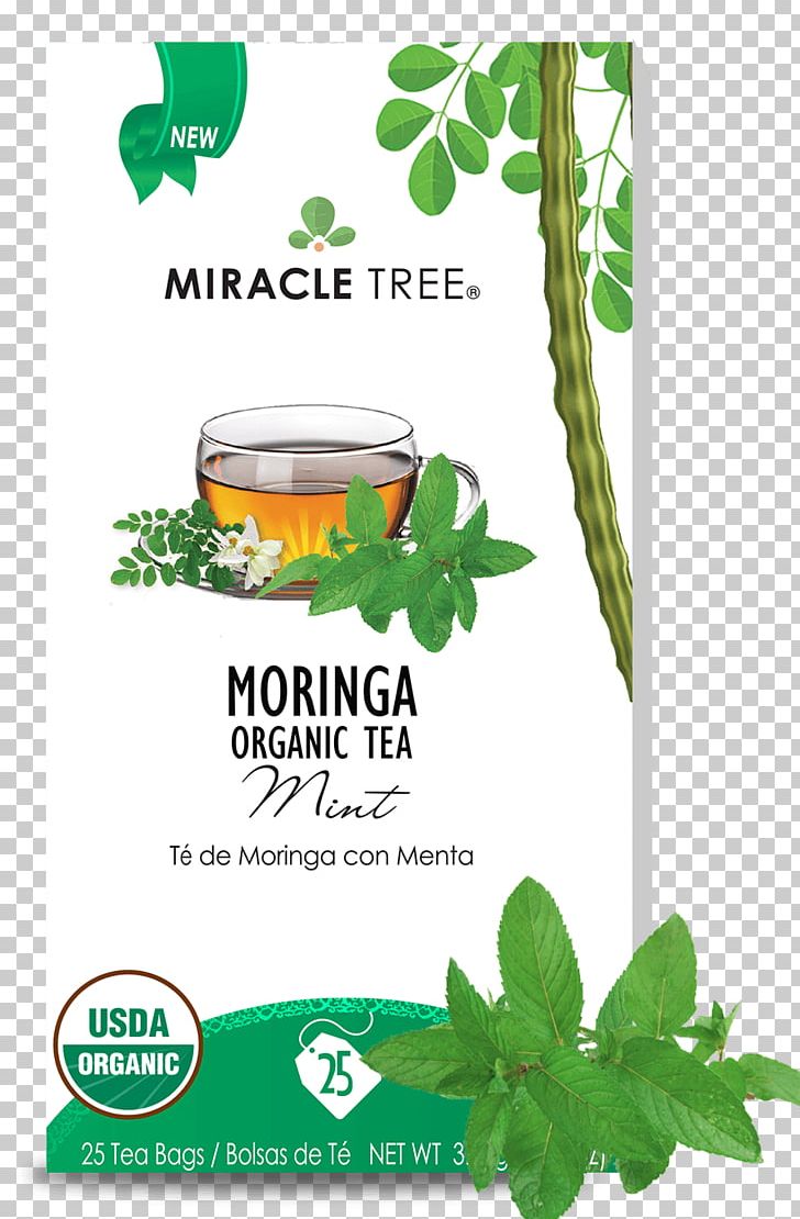 Tea Drumstick Tree Infusion Herb Honey PNG, Clipart, Caffeine, Drumstick Tree, Food, Food Drinks, Grass Free PNG Download