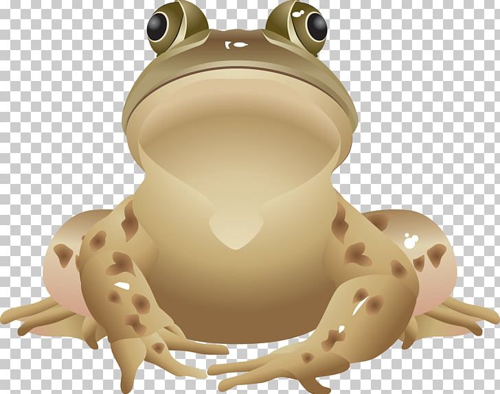 All About Frogs Edible Frog PNG, Clipart, All About Frogs, Amphibian, Animals, Download, Edible Frog Free PNG Download