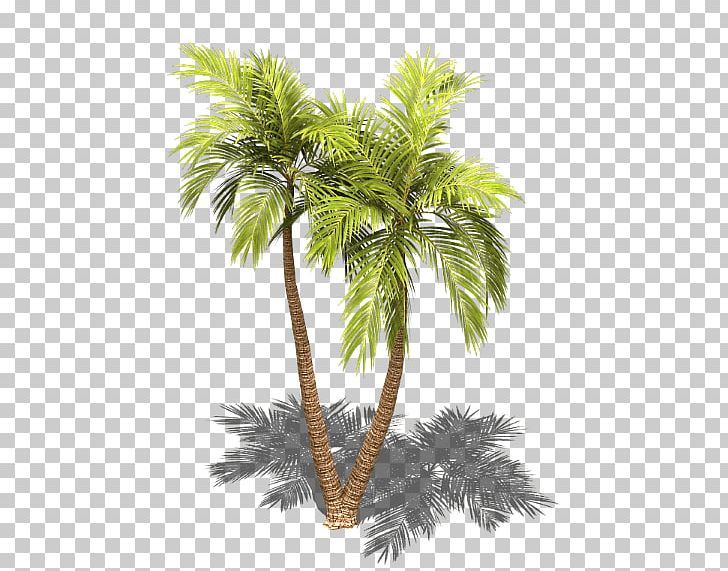 Asian Palmyra Palm Arecaceae Sprite Tree Isometric Projection PNG, Clipart, 2d Computer Graphics, 3d Computer Graphics, Arecales, Areca Nut, Borassus Flabellifer Free PNG Download