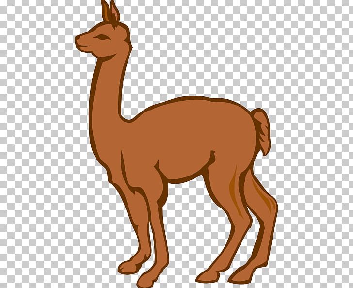 Llama Alpaca Cartoon PNG, Clipart, Alpaca, Arabian Camel, Blog, Camel, Camel Like Mammal Free PNG Download