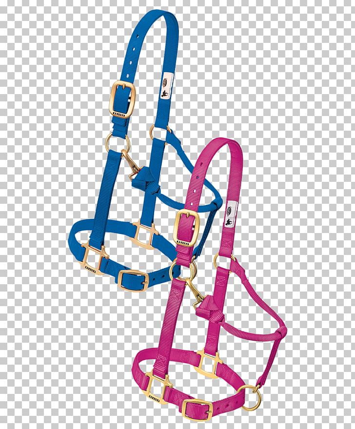 Halter Nylon Cob Leather Equestrian Png Clipart Ace Hardware Halter Nylon Cob Leather Equestrian Png