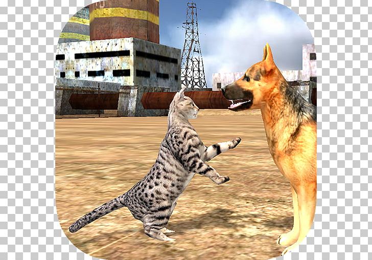 Homeless Cat Simulator Honey Bee Simulator Drive Simulator PNG, Clipart, Android, Animals, Apk, Carnivoran, Cat Free PNG Download