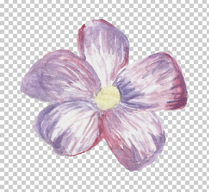 Flower Sticker Rose Purple PNG, Clipart, 1800flowers, Blue, Blume, Color, Drawing Free PNG Download