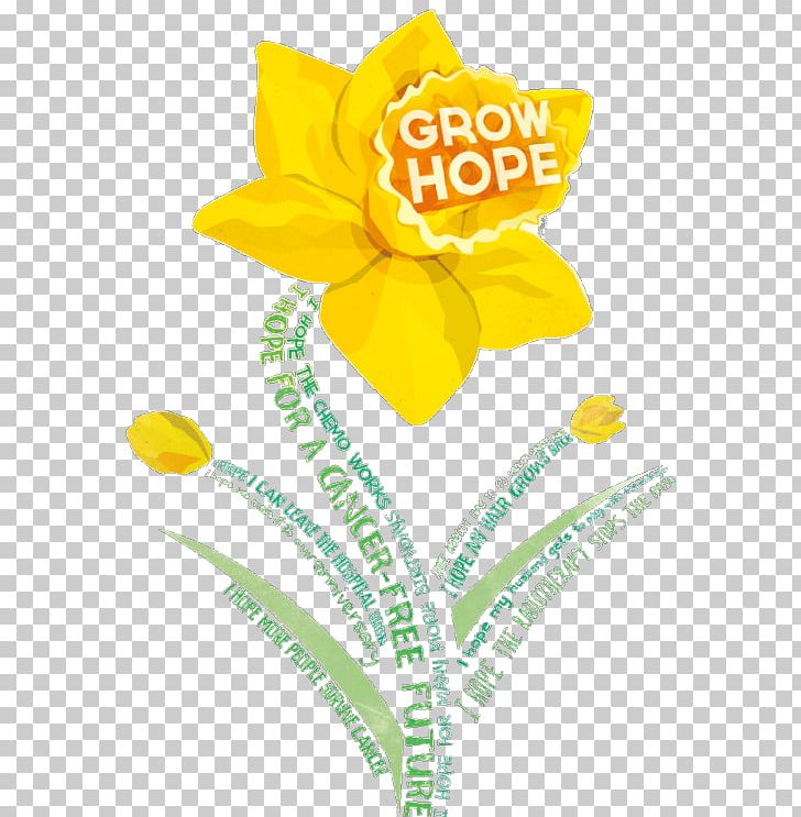 Relay For Life American Cancer Society Cancer Research Canadian Cancer Society PNG, Clipart, American Cancer Society, Breast Cancer, Canadian Cancer Society, Cancer, Cancer Council Australia Free PNG Download