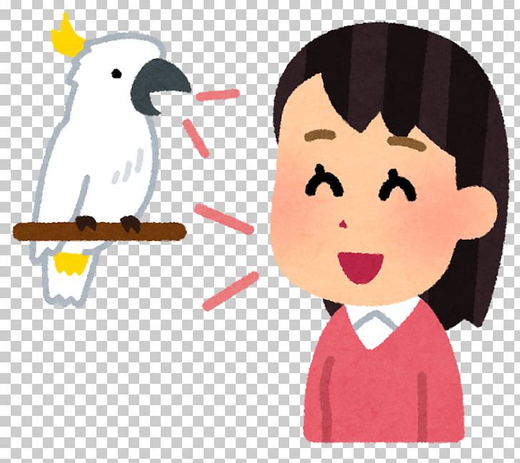 Juju Person Parrots Cockatoo PNG, Clipart, Art, Beak, Bird, Cartoon, Child Free PNG Download