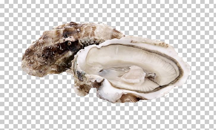 Oyster Plateau De Fruits De Mer Food Clam PNG, Clipart, Alimento Saludable, Animals, Animal Source Foods, Art, Calorie Free PNG Download