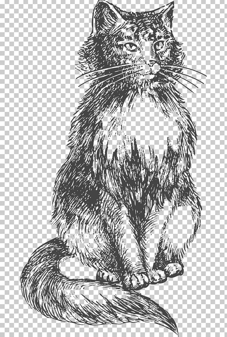Bengal Cat Kitten Drawing Sketch PNG, Clipart, Animal, Animals, Black Cat, Carnivoran, Cat Like Mammal Free PNG Download