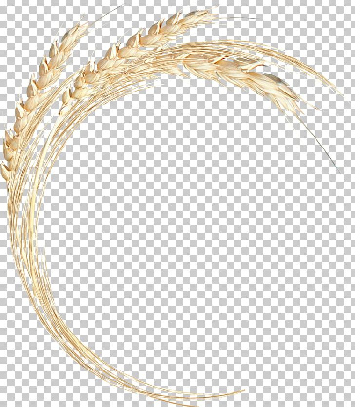 Clothing Accessories Body Jewellery Headgear Feather PNG, Clipart, Body Jewellery, Body Jewelry, Chapathi, Clothing Accessories, Commodity Free PNG Download