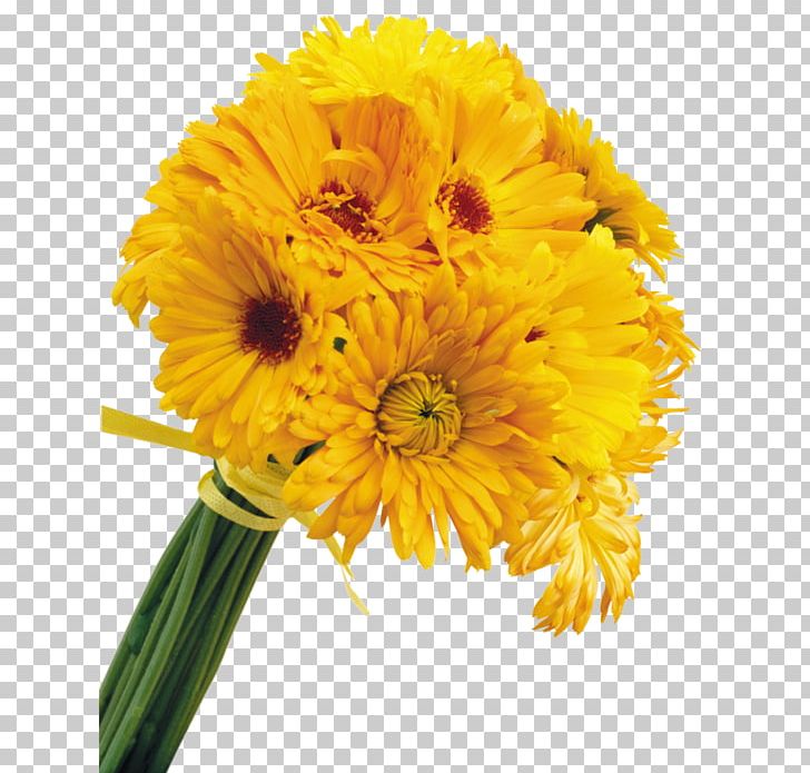 Flower Bouquet Painting Painter Cafe PNG, Clipart, Annual Plant, Art, Cafe, Calendula, Chr Free PNG Download
