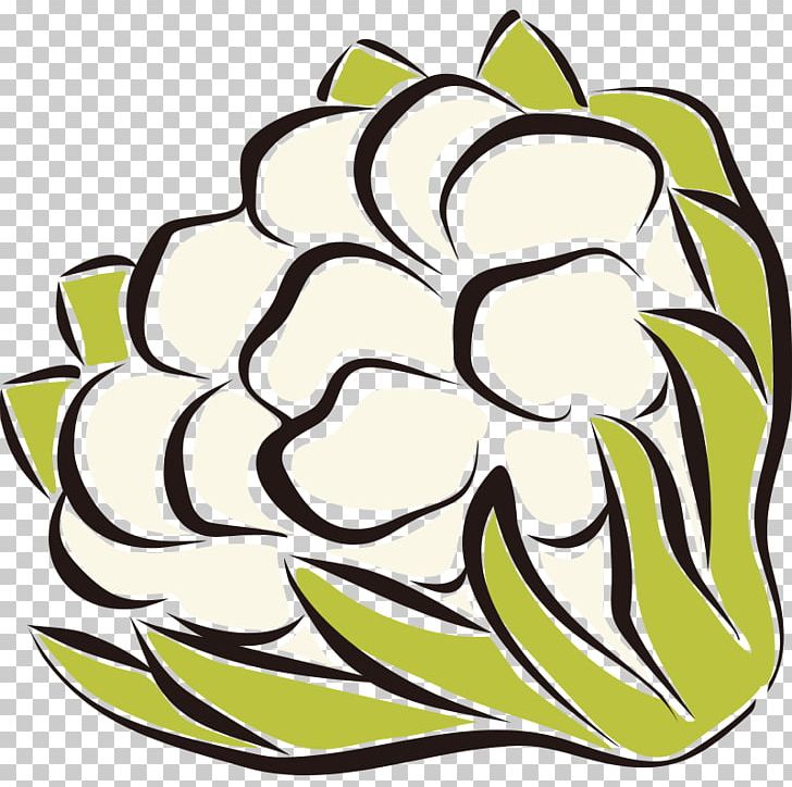 Fruit Vegetable Cauliflower Auglis PNG, Clipart, Art, Artwork, Auglis, Background Green, Ball Free PNG Download