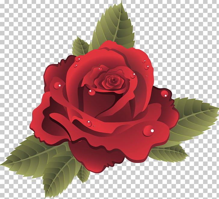 Still Life: Pink Roses Flower PNG, Clipart, Computer Icons, Floral Design, Floribunda, Floristry, Flower Free PNG Download
