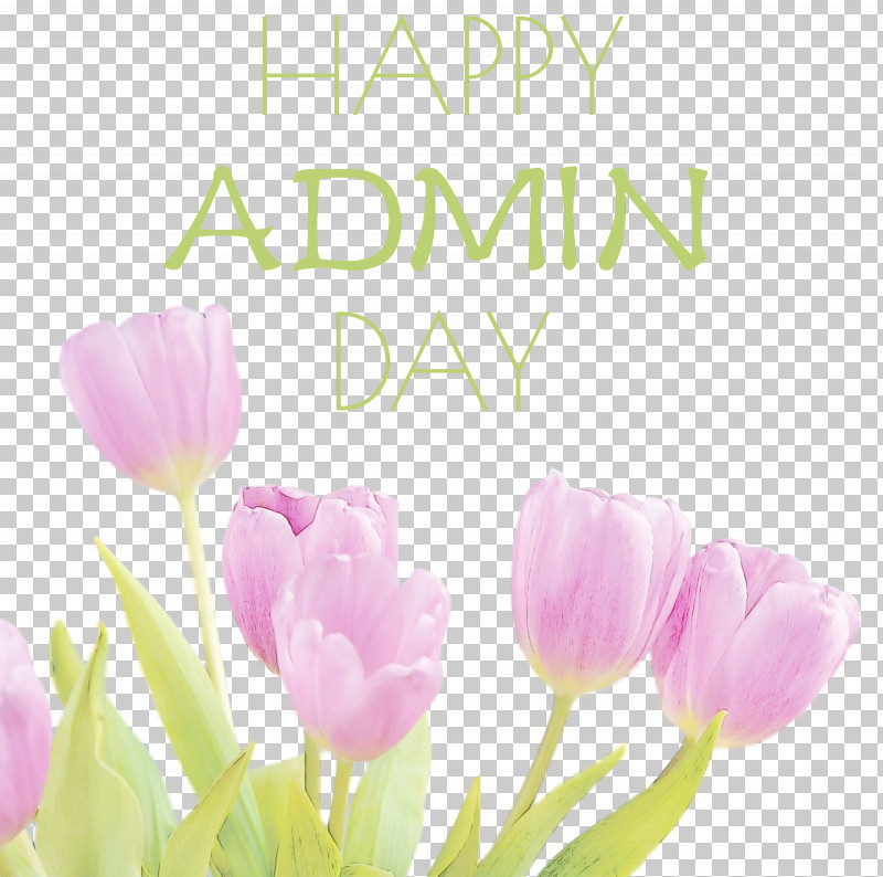 Floral Design PNG, Clipart, Admin Day, Administrative Professionals Day, Biology, Cut Flowers, Floral Design Free PNG Download
