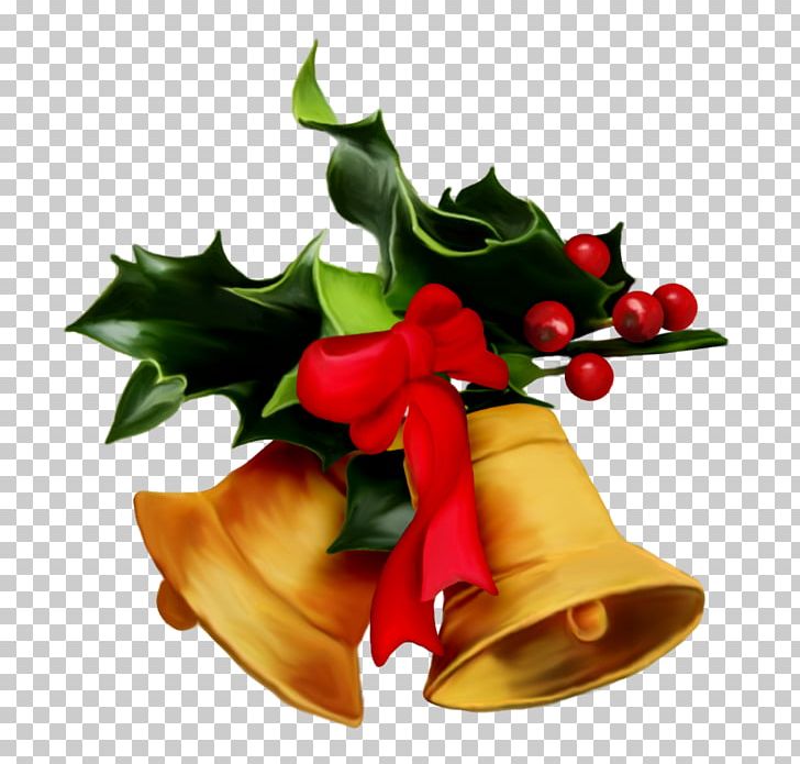 Christmas Tree Mistletoe Christmas Decoration Gift PNG, Clipart, Aquifoliaceae, Aquifoliales, Christmas Decoration, Floristry, Flower Free PNG Download