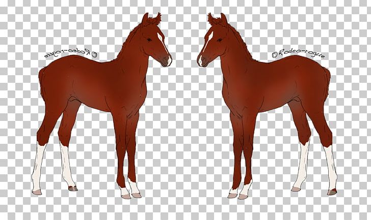 Foal Mustang Mare Stallion Halter PNG, Clipart,  Free PNG Download