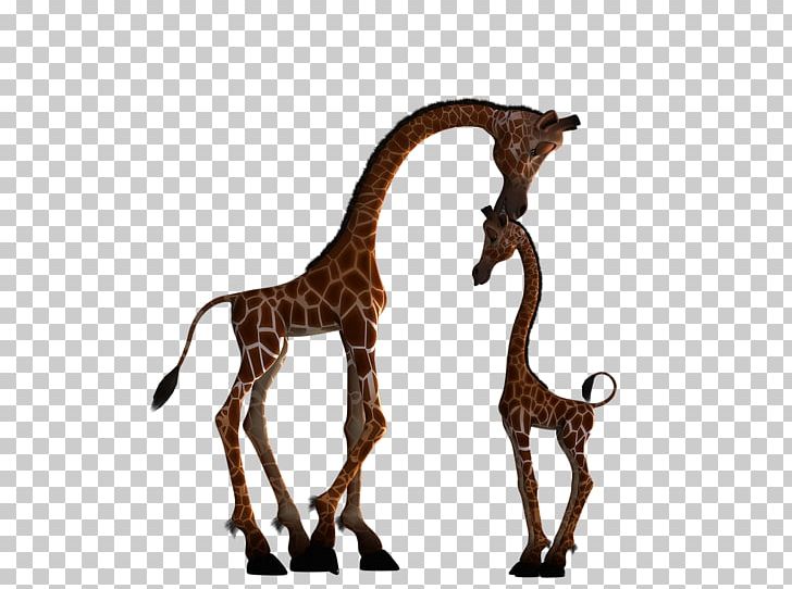 Giraffe Mother Child Infant Silhouette PNG, Clipart, Animal Figure, Animals, April, Child, Fauna Free PNG Download