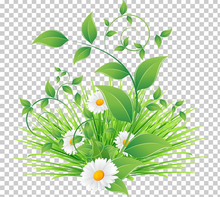 Paper Leaf Plant Green PNG, Clipart, Art, Chamomile, Computer Wallpaper, Daisy Family, Flower Free PNG Download