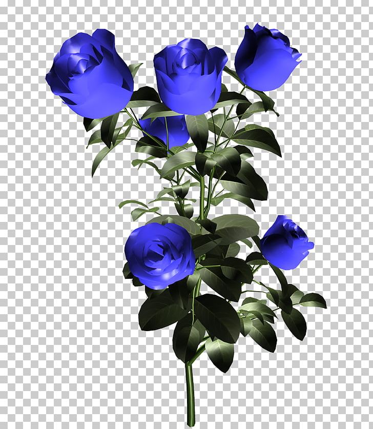 Blue Rose Garden Roses Flower PNG, Clipart, Annual Plant, Artificial Flower, Bellflower Family, Blue, Blue Rose Free PNG Download