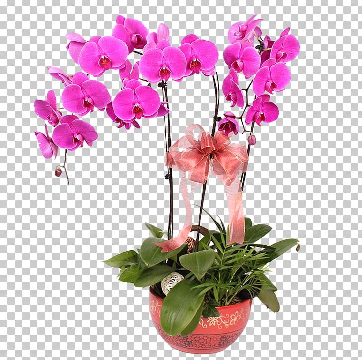 Moth Orchids Vase Flower PNG, Clipart, Artificial Flower, Creative, Creative Posters, Floristry, Flower Free PNG Download