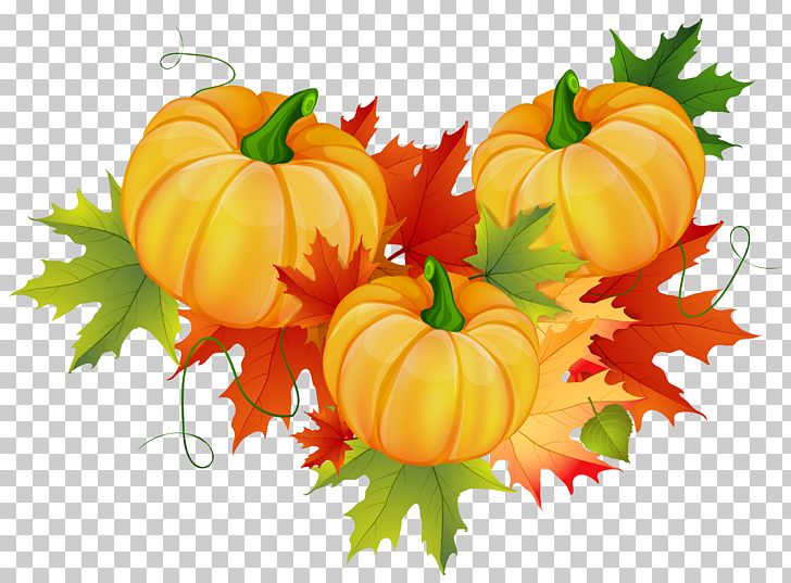 Pumpkin Thanksgiving PNG, Clipart, Calabaza, Clip Art, Computer Icons, Cucurbita, Decoration Free PNG Download
