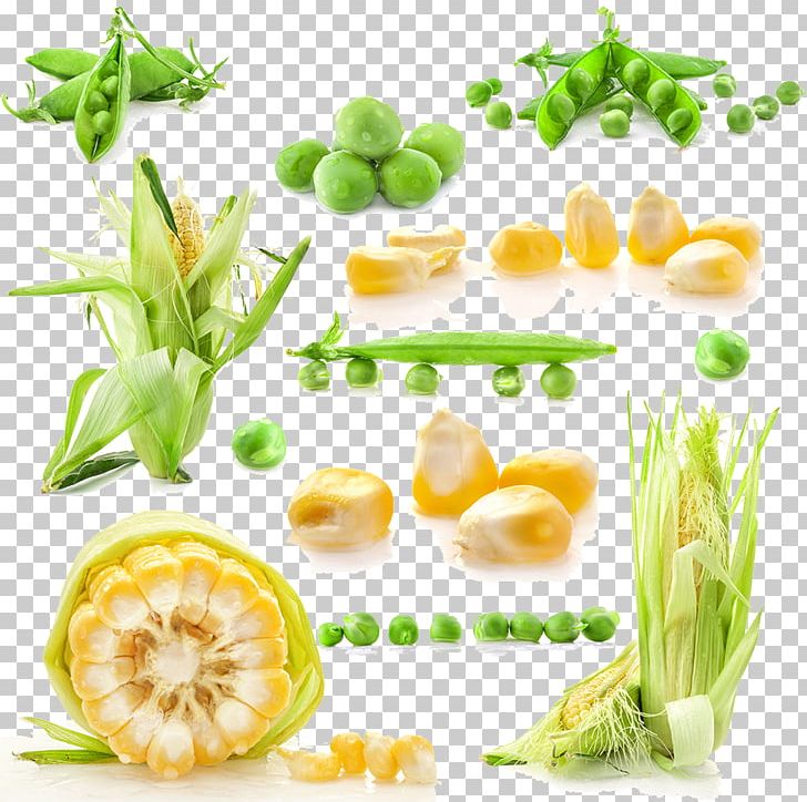 Leaf Vegetable Corn On The Cob Maize Corncob PNG, Clipart, Cartoon Corn, Commodity, Corn, Corn Cartoon, Corn Flakes Free PNG Download