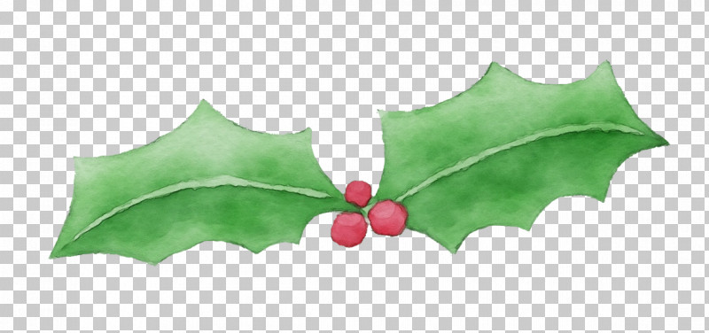 Holly PNG, Clipart, Aquifoliales, Biology, Holly, Leaf, Paint Free PNG Download