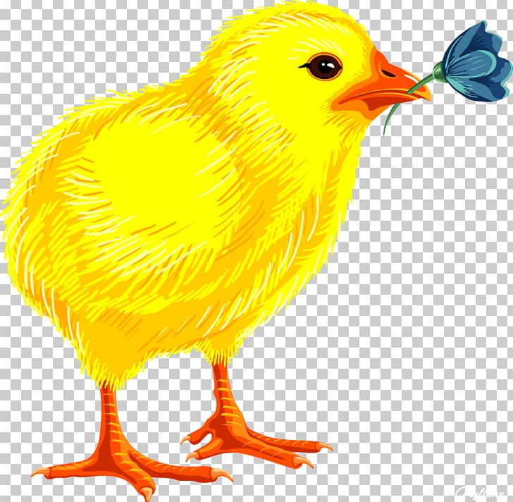Easter Egg PNG, Clipart, Animals, Beak, Bird, Chick, Chicken Free PNG Download