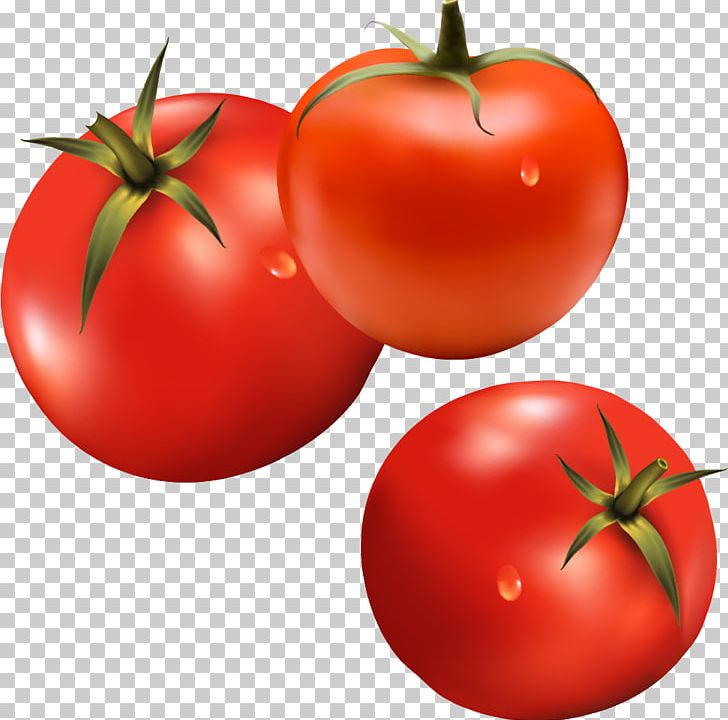 Hamburger Tomato Vegetable Ketchup PNG, Clipart, Adobe Illustrator, Apple, Bush Tomato, Cartoon, Diet Food Free PNG Download
