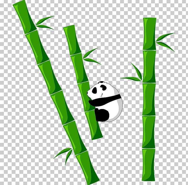 Tropical Woody Bamboos Giant Panda Food PNG, Clipart, Bamboo, Cuisine, Food, Giant Panda, Grass Free PNG Download