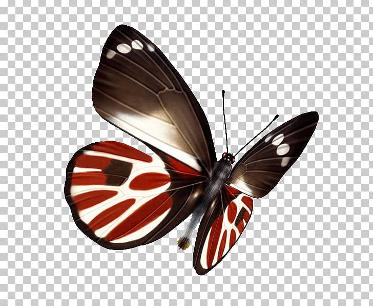 Butterfly White Point PNG, Clipart, Adobe Illustrator, Arthropod, Blue Butterfly, Brush Footed Butterfly, Butterflies Free PNG Download