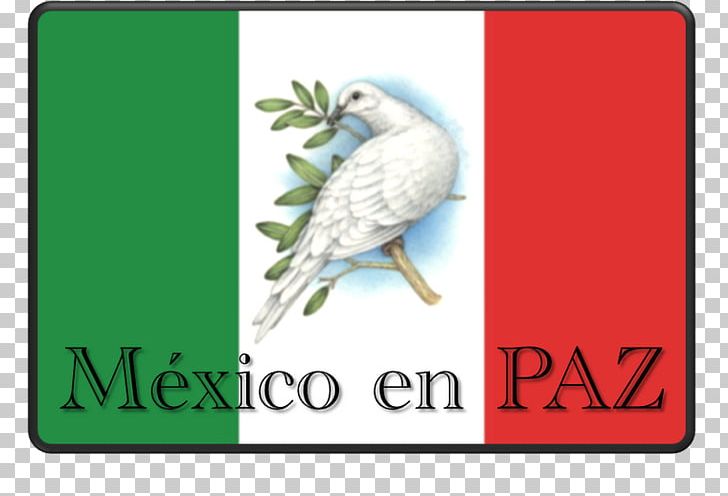 El Universal Peace Nes De Mexico Idea PNG, Clipart, Advertising, Beak, Binary Option, Bird, Brand Free PNG Download
