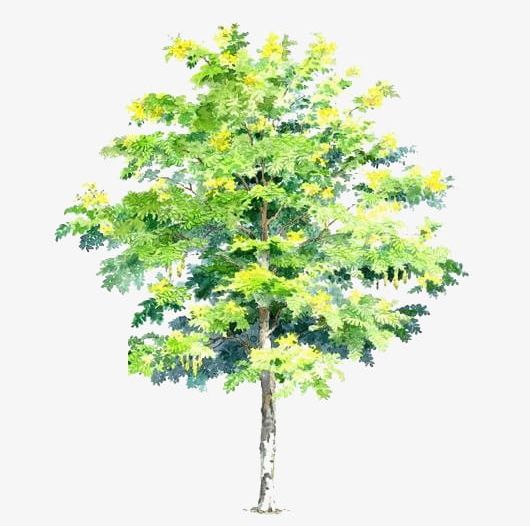 Hand-painted Trees S PNG, Clipart, Element, Green, Green Trees Element, Hand Painted, Hand Painted Clipart Free PNG Download