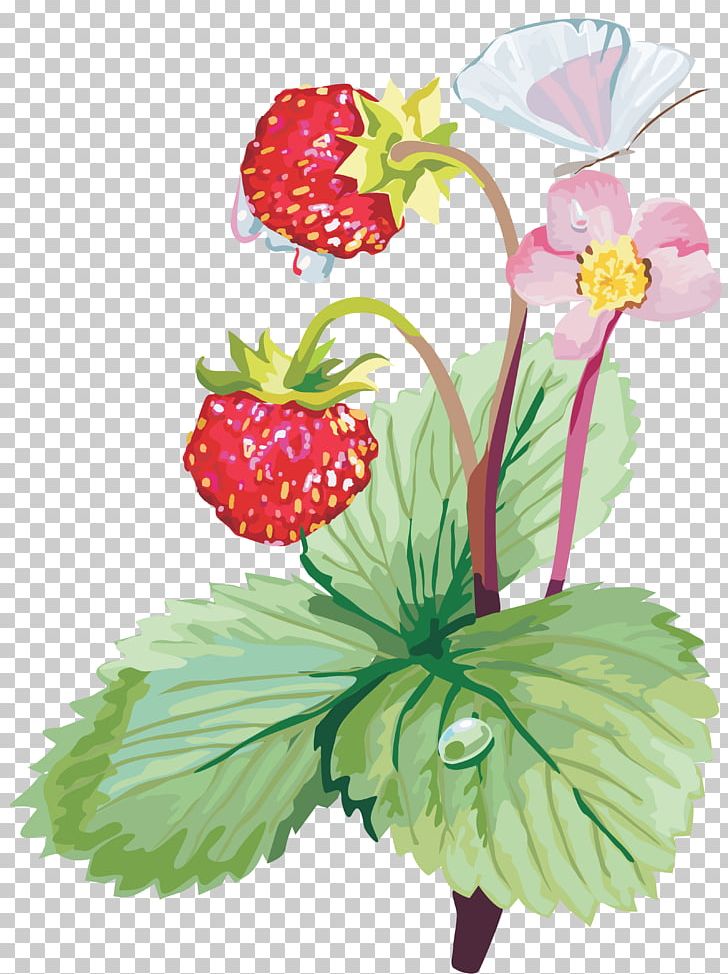 Strawberry Fruit PNG, Clipart, Berry, Cut Flowers, Desktop Wallpaper, Floral Design, Floristry Free PNG Download