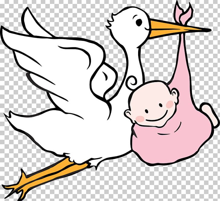 White Stork Infant PNG, Clipart, Animals, Archives, Art, Artwork, Baby Free PNG Download