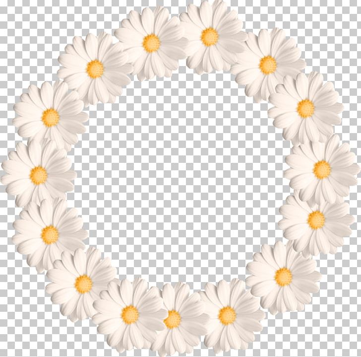 Common Daisy Border Flowers PNG, Clipart, Border Flowers, Chamomile, Circle, Common Daisy, Computer Icons Free PNG Download