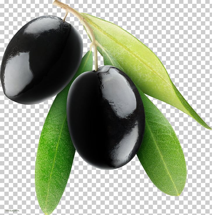 Fruit Olive PNG, Clipart, Black Olives, Black Olives Png, Food, Free, Fruit Free PNG Download