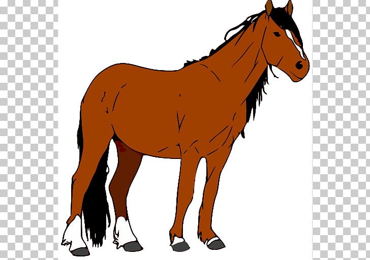 Mustang American Quarter Horse Foal PNG, Clipart, Collection, Colt, Cuteness, Free Content, Halter Free PNG Download