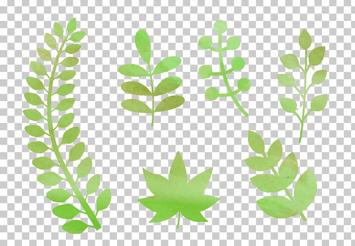 Branch PNG, Clipart, Aquarell, Art, Branch, Drawing, Flora Free PNG Download