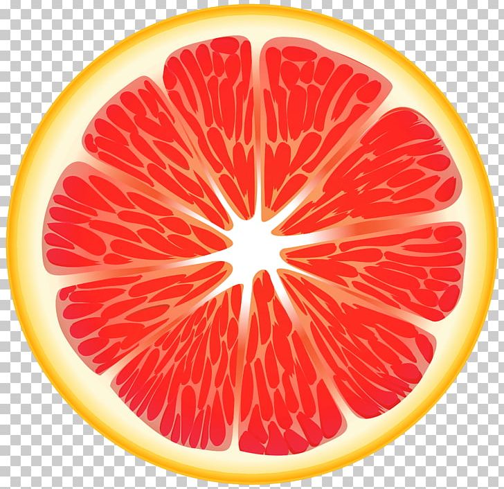 orange slices clipart