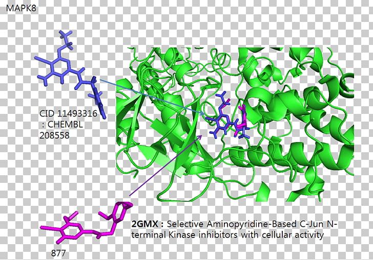 Prolyl Isomerase Mitogen-activated Protein Kinase Cis–trans Isomerism C-Jun N-terminal Kinases PNG, Clipart, Area, Cjun Nterminal Kinases, Graphic Design, Green, Isomer Free PNG Download