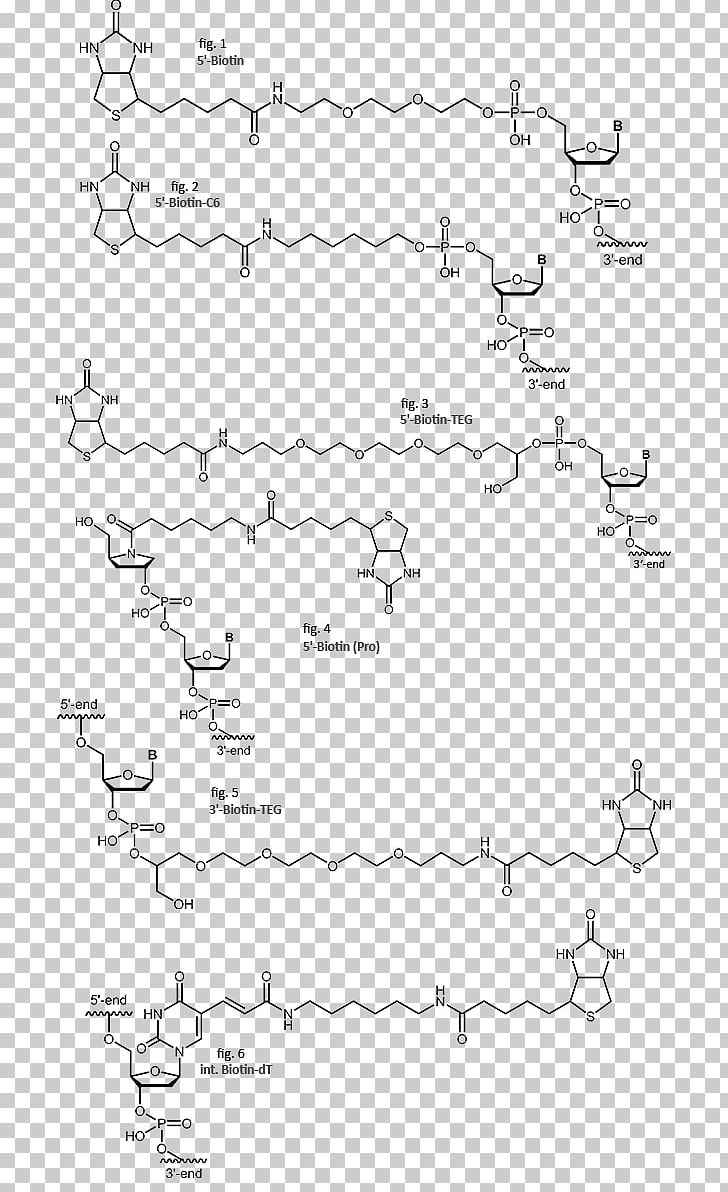 Streptavidin Biotinylation Oligonucleotide PNG, Clipart, Angle, Auto Part, Avidin, Biotin, Biotinidase Deficiency Free PNG Download