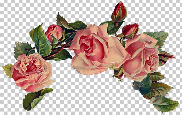 Vintage Roses: Beautiful Varieties For Home And Garden Pink PNG, Clipart, Art, Artificial Flower, Computer Icons, Cut Flowers, Deco Free PNG Download