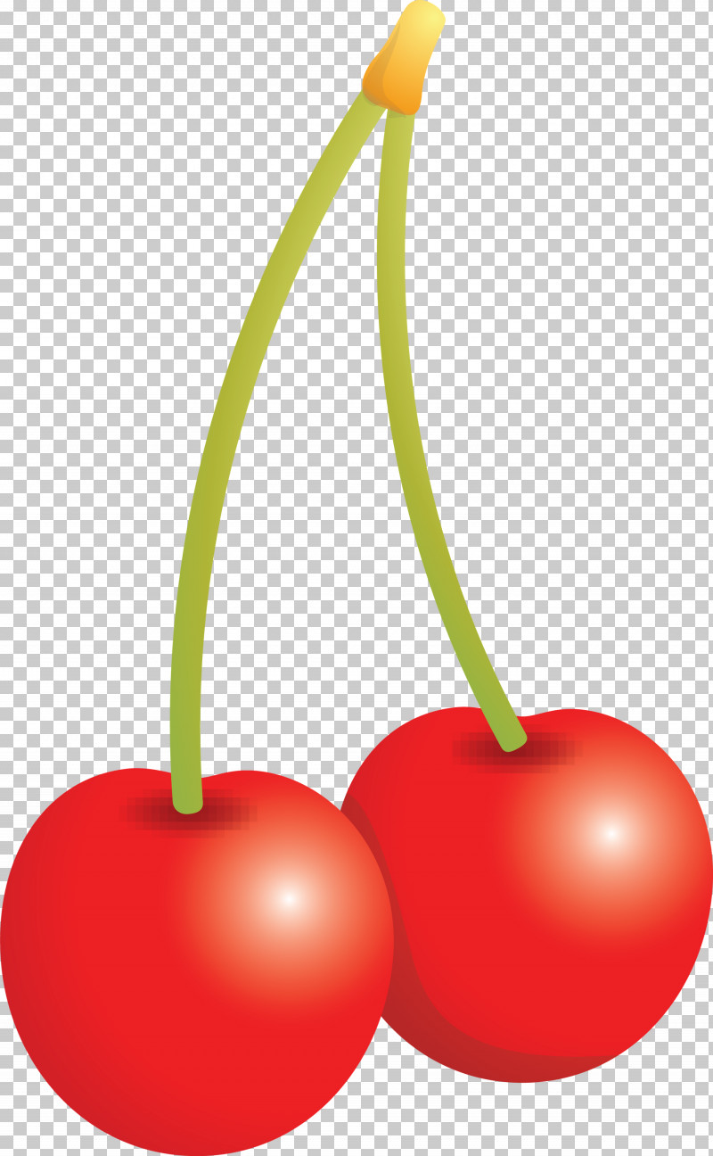 Cherry PNG, Clipart, Cherry, Drupe, Flower, Food, Fruit Free PNG Download