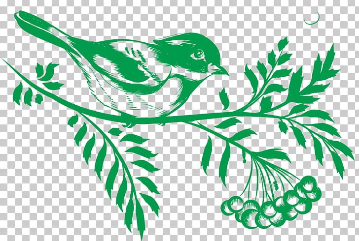 Drawing Paper Illustration PNG, Clipart, Animals, Art, Artwork, Bird, Bird Cage Free PNG Download