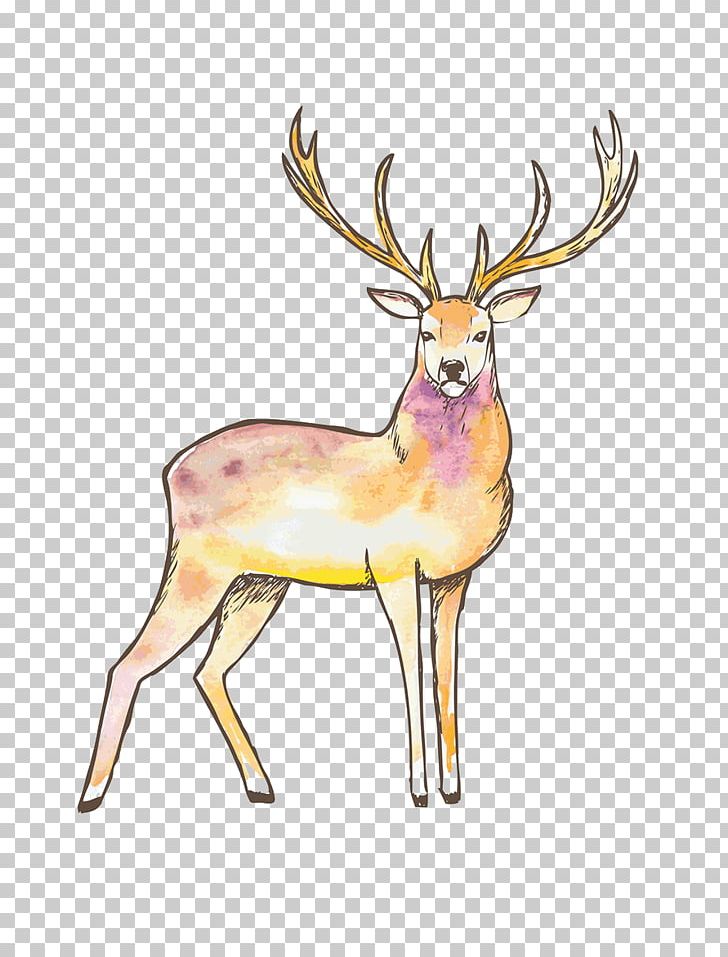 Reindeer Elk Red Deer Moose PNG, Clipart, Abstract Pattern, Animals, Antler, Deer, Drawing Free PNG Download