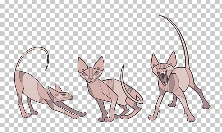 Sphynx Cat Donskoy Cat Kitten How To Draw Animals Drawing PNG, Clipart, Animal, Carnivoran, Cartoon, Cat Ear, Cat Like Mammal Free PNG Download
